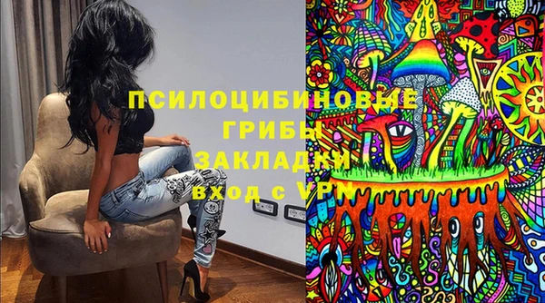 2c-b Зеленодольск